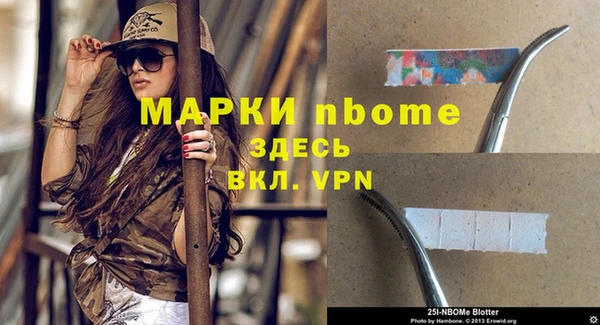 сатива Армянск