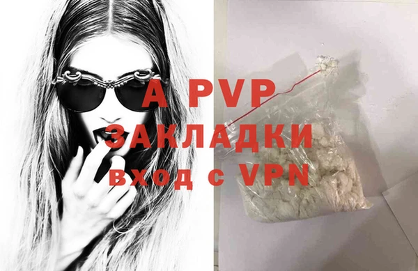 сатива Армянск