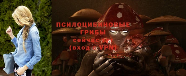 сатива Армянск