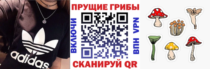 дарнет шоп Новомосковск Псилоцибиновые грибы Psilocybine cubensis