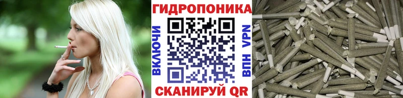 Канабис сатива  Новомосковск 